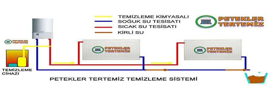 Petek Temizleme Petek Temizliği